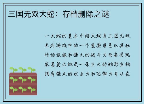 三国无双大蛇：存档删除之谜